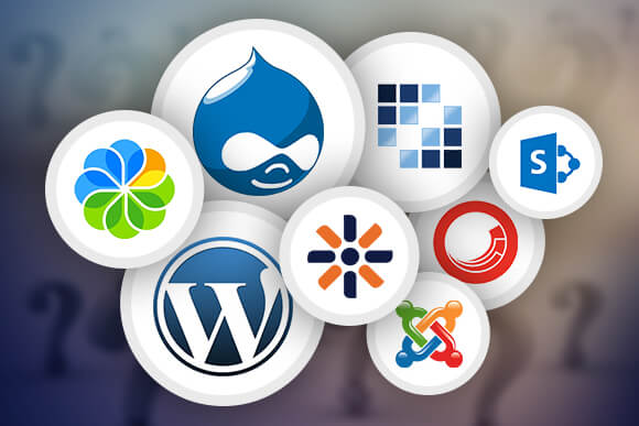 Which Cms Best1