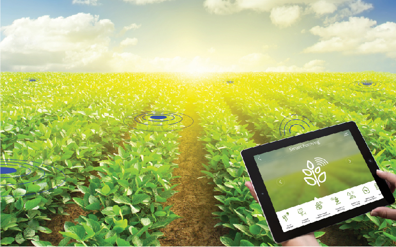 Smart Farming System