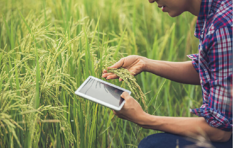 Plant Disease Detection