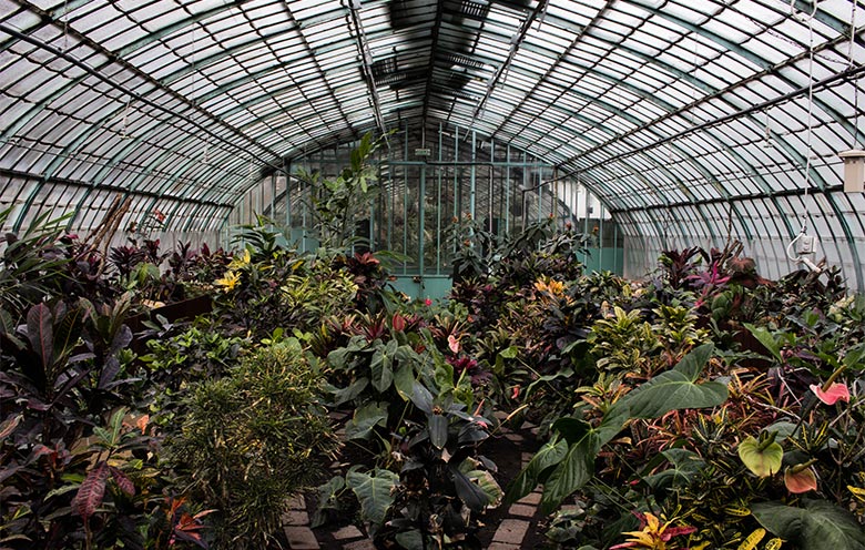 Greenhouse