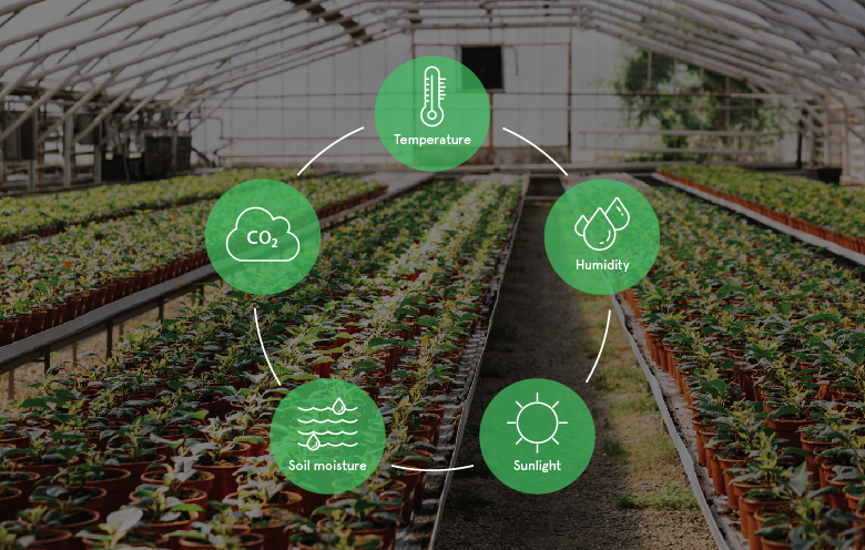 Greenhouse Monitoring