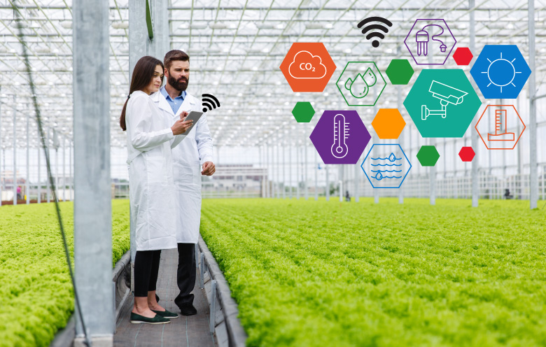 Automated Control Systems In A Commercial Greenhouse