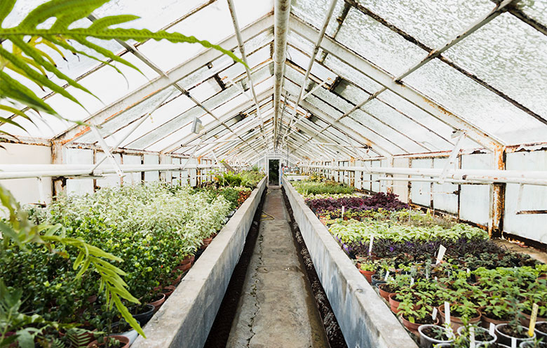 Greenhouse Monitoring 1