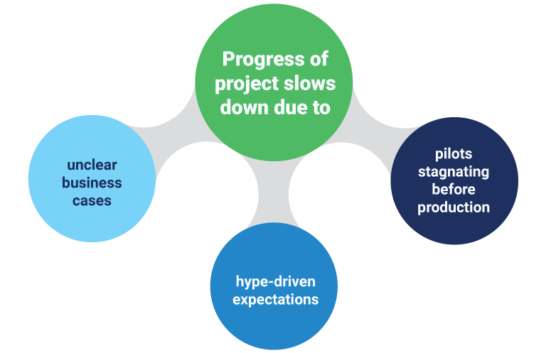 Project slows down due to this reasons
